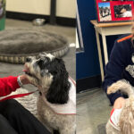 Bringing smiles to students with Therapy Dog Thursday