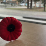 Recognizing LGBTQ+ servicepeople during Remembrance Day and beyond