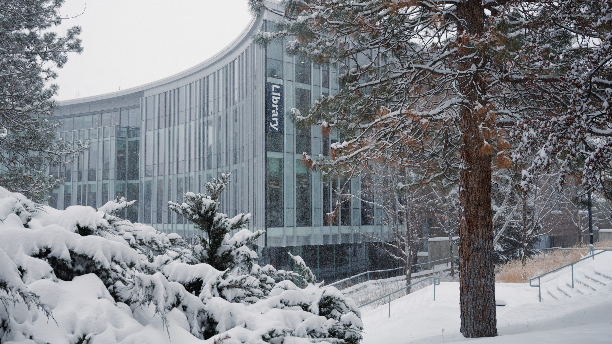 Thick snow covers bushes, trees and pathways with the TRU library in the background of the picture.