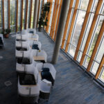 Study tips to ace your finals