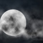 Fright Night at the TRU library
