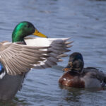 Boredom-busting hobbies