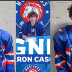 Junior hockey players killed in vehicle accident