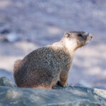 Take a hike to reduce your stress