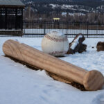Kamloops NorthPaws Listed for Sale