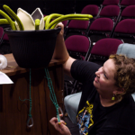 Sagebrush sets the stage for dark comedy